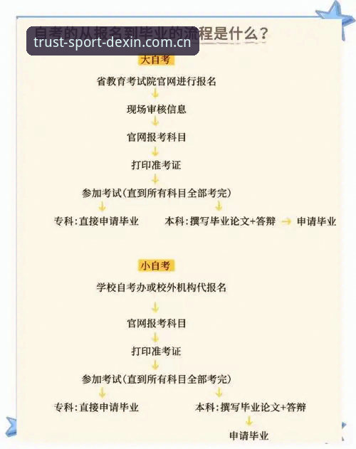 德信体育APP官网 德信体育APP官网使用体验深度评测:从下载到登录的全流程指南